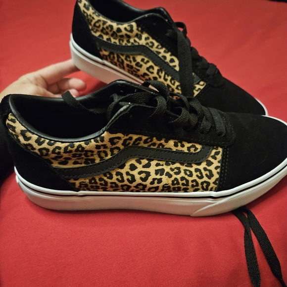 Cheetah  vans - Picture 5 of 5